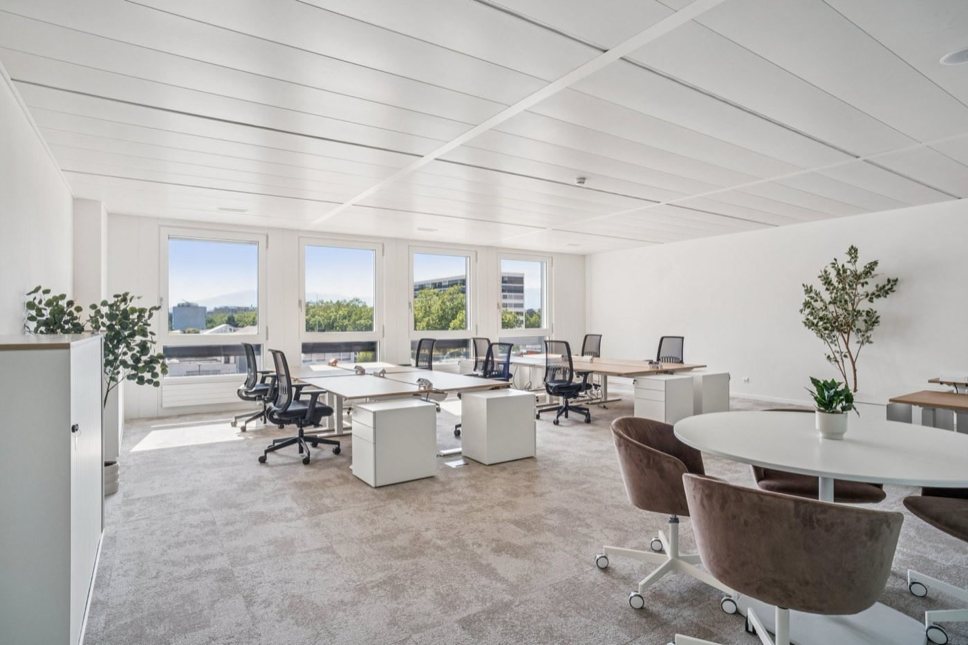 Bureaux privatifs YNEO Chancy 59 — vue 5