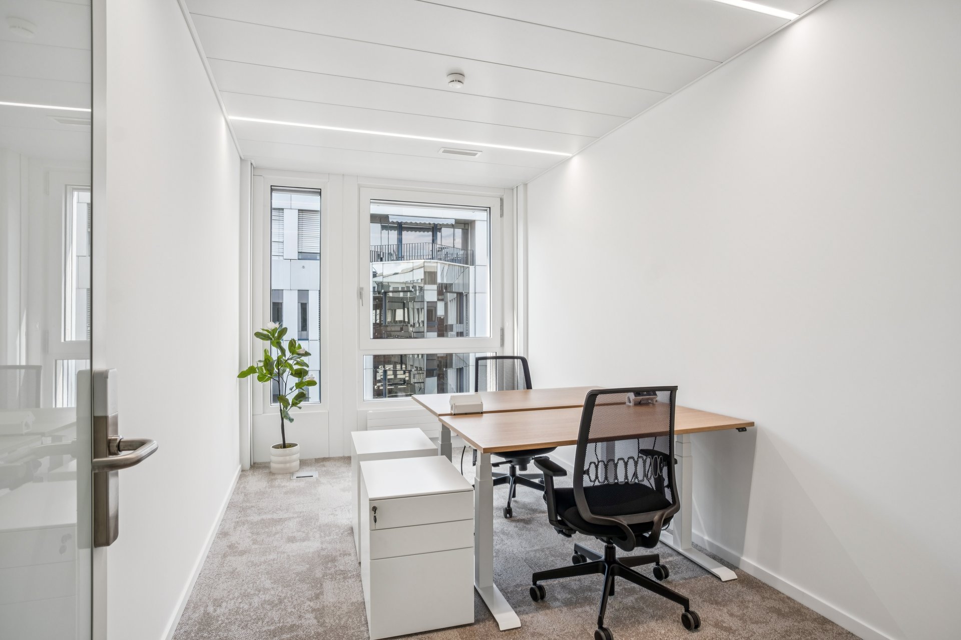 Bureaux privatifs YNEO Chancy 59 — vue 7