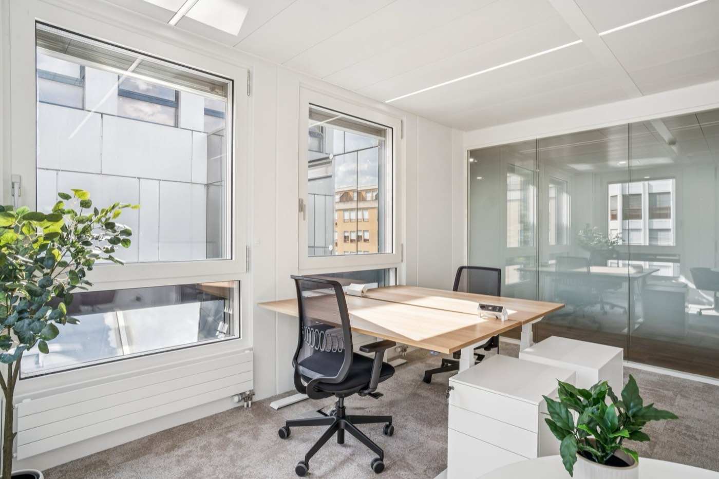 Bureaux privatifs YNEO Chancy 59 — vue 9