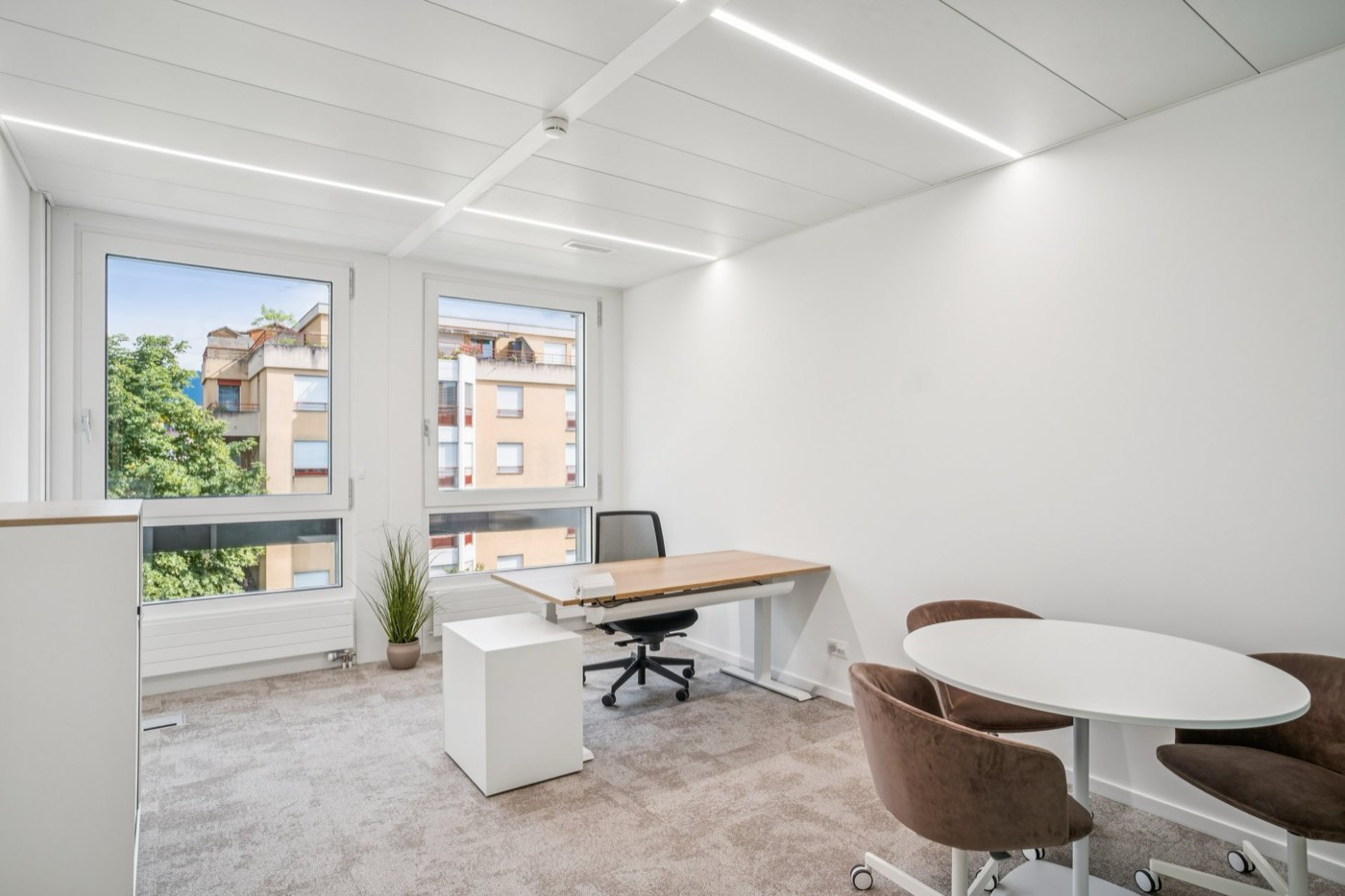 Bureaux privatifs YNEO Chancy 59 — vue 10