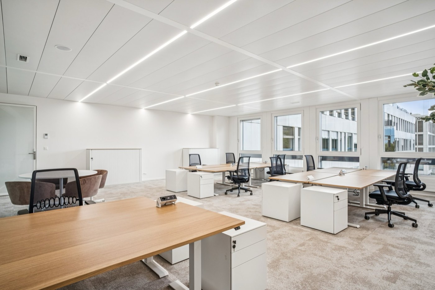 Bureaux privatifs YNEO Chancy 59 — vue 16