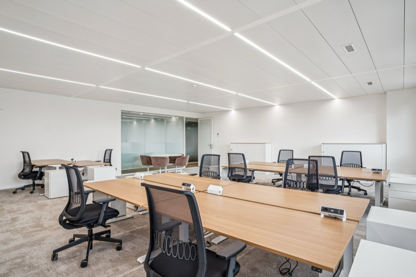 Bureaux privatifs YNEO Chancy 59 — vue 17