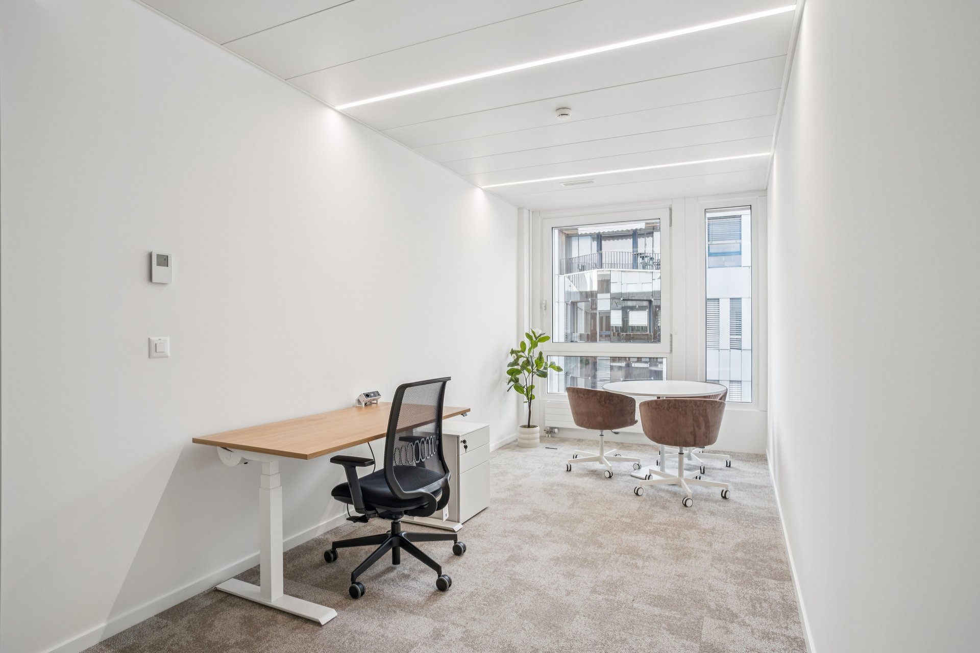 Bureaux privatifs YNEO Chancy 59 — vue 20