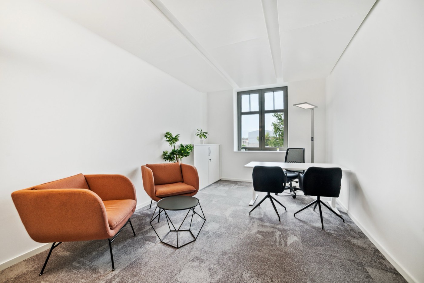 Bureaux privatifs YNEO Saint-Julien 7 — vue 5